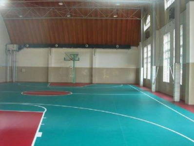 室內(nèi)運(yùn)動(dòng)PVC地板 