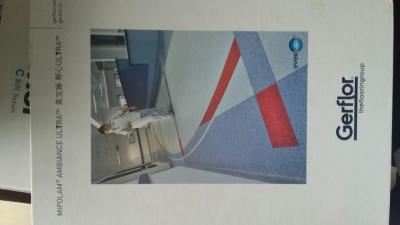 醫(yī)用同質(zhì)透心PVC地板-潔福野心